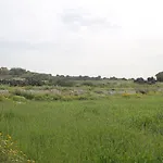 Whitestar Salina
