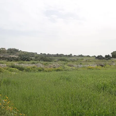 Whitestar Salina